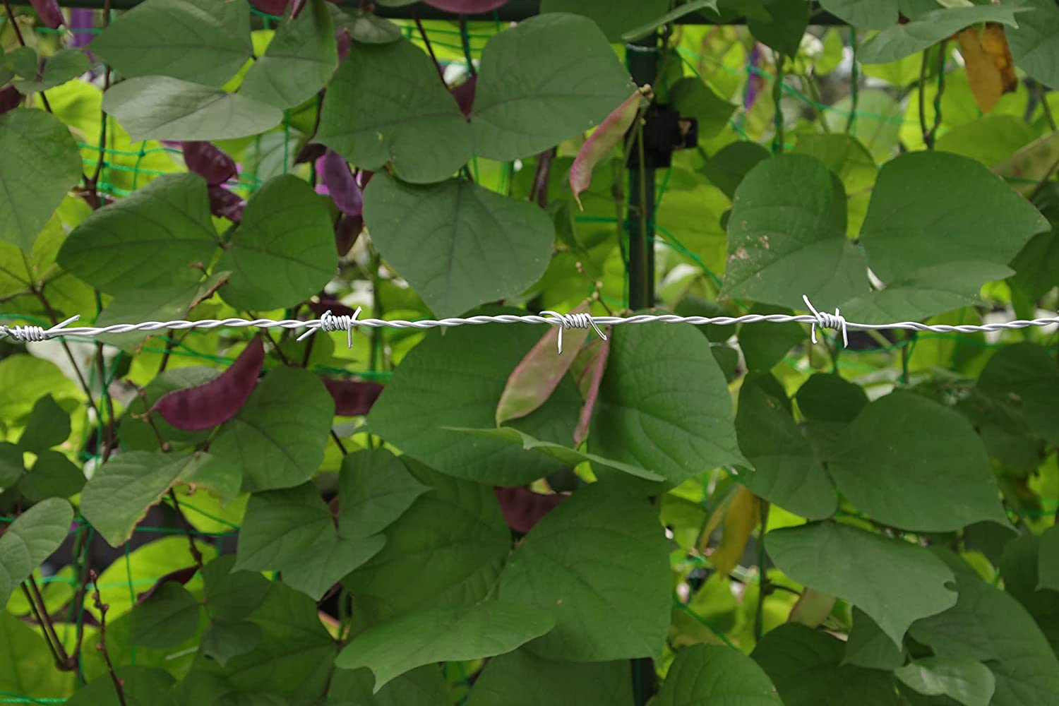 ODM Barbed Wire Fencing