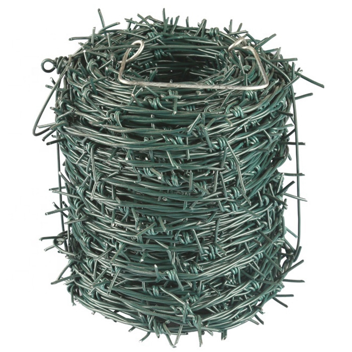 Barbed Wire Double Strand
